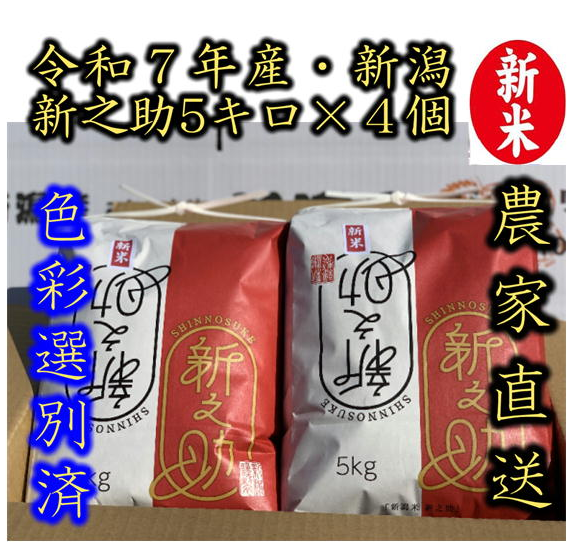 令和７年産　新潟　新之助　白米5kg×4個★農家直送★色彩選別済   予約9月25日頃の商品画像